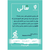 بازی فکری شالی