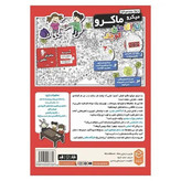 بازی فکری میکرو ماکرو مدل کاراگاهان کوچک
